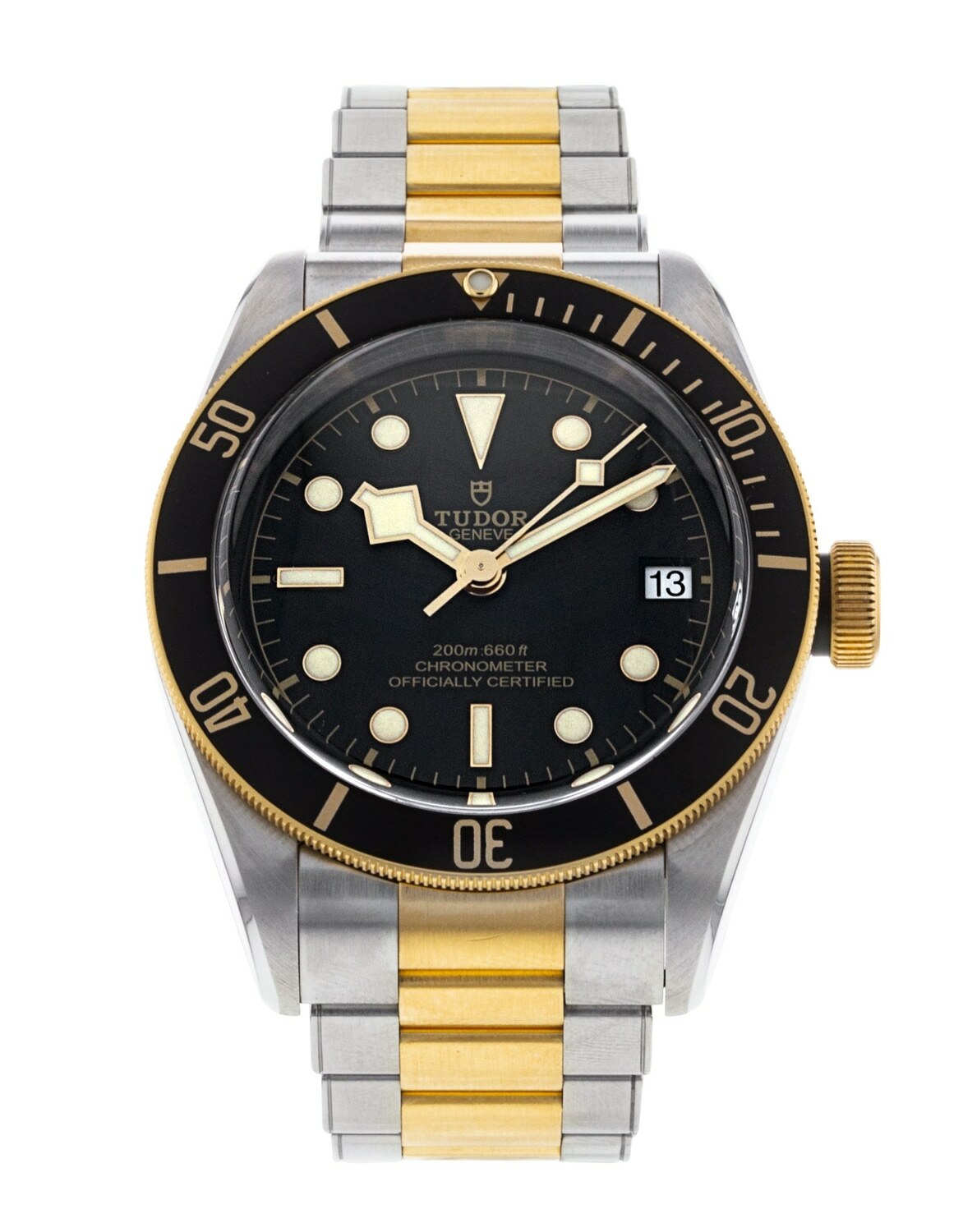 Tudor Black Bay M79733N-0008