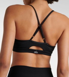 Alo Yoga Airlift Intrigue jersey sports bra