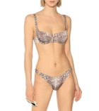 Reina Olga Rings bikini bottoms