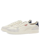 Puma Indoor Sneakers in Frosted Ivory/Vapor Grey