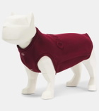 Gucci Gucci Script cotton-blend dog sweater