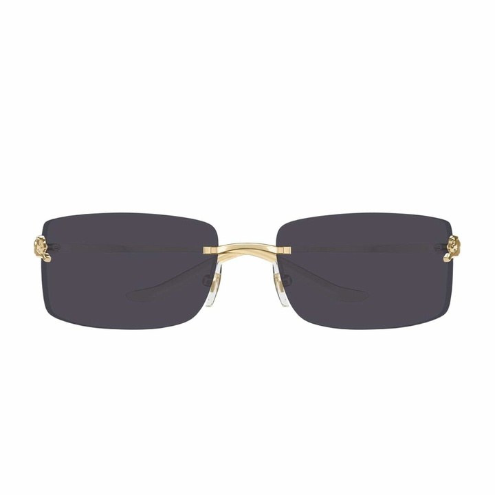 Photo: Cartier Eyewear Cartier Ct0503s Panthère De Cartier 001 Gold Grey Sunglasses