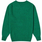 Howlin by Morrison Men's Howlin' Birth of the Cool Crew Knit in Greenlover