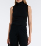 Jardin des Orangers Ribbed-knit virgin wool turtleneck top