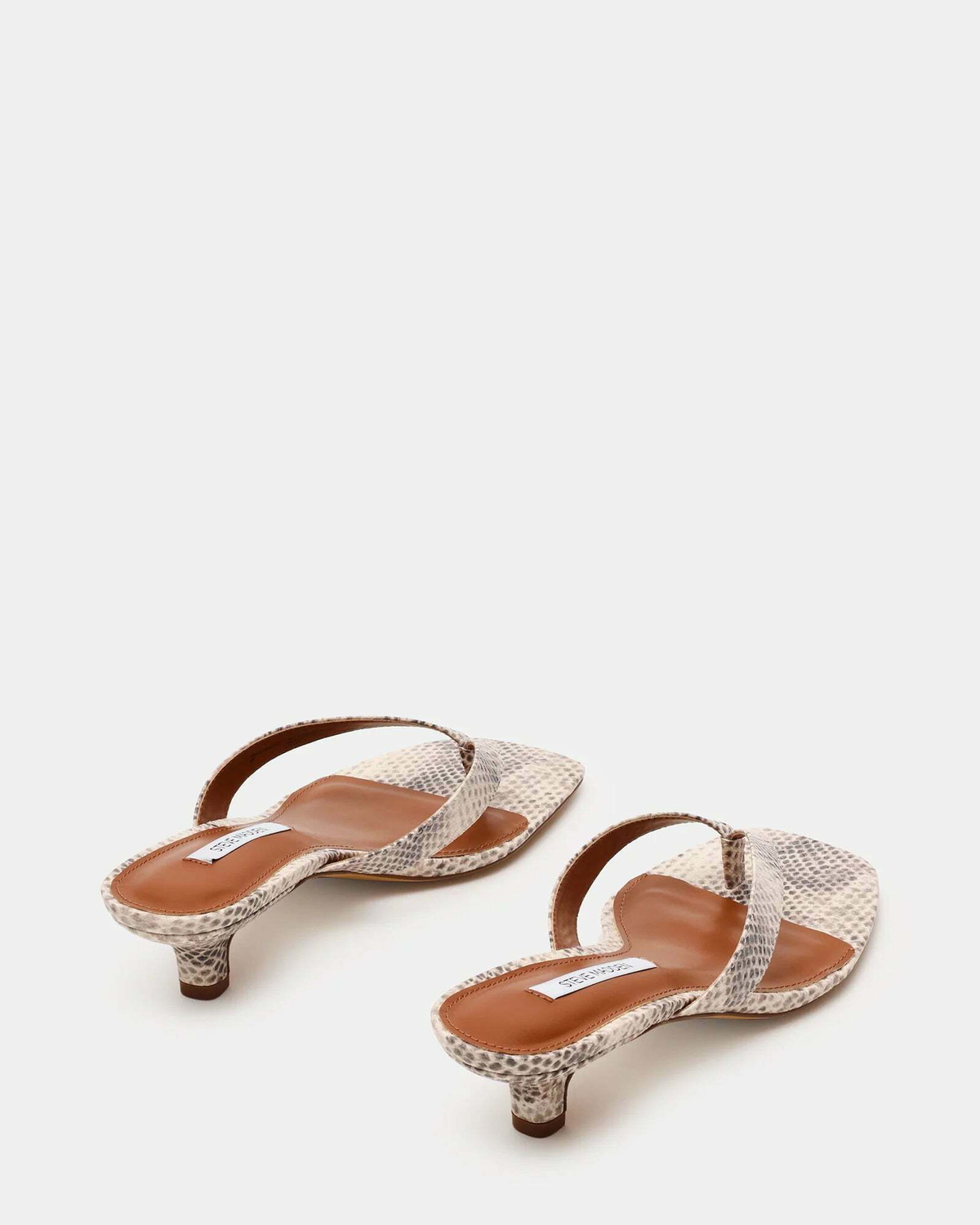 Steve Madden Tracie Heels in Snake