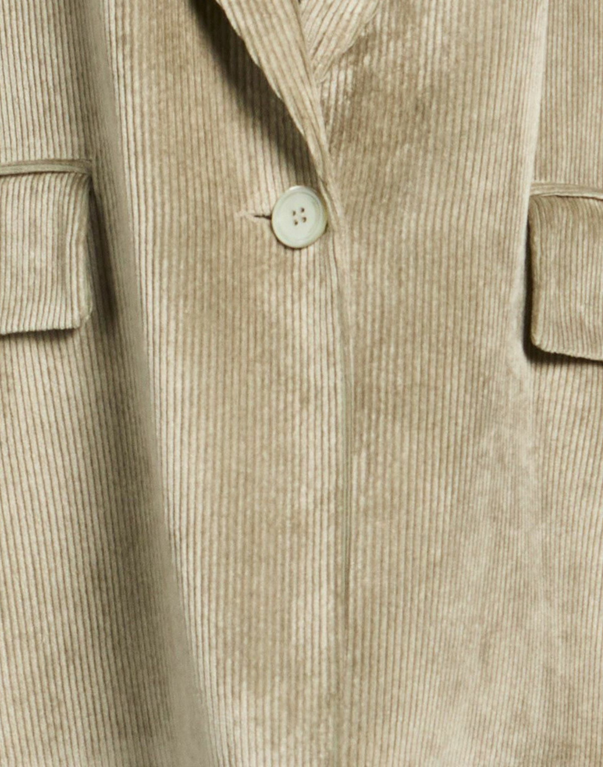 Peserico Womens Blazer in Sage green