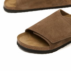 Birkenstock Men's Solana LEVE in Dark Tea