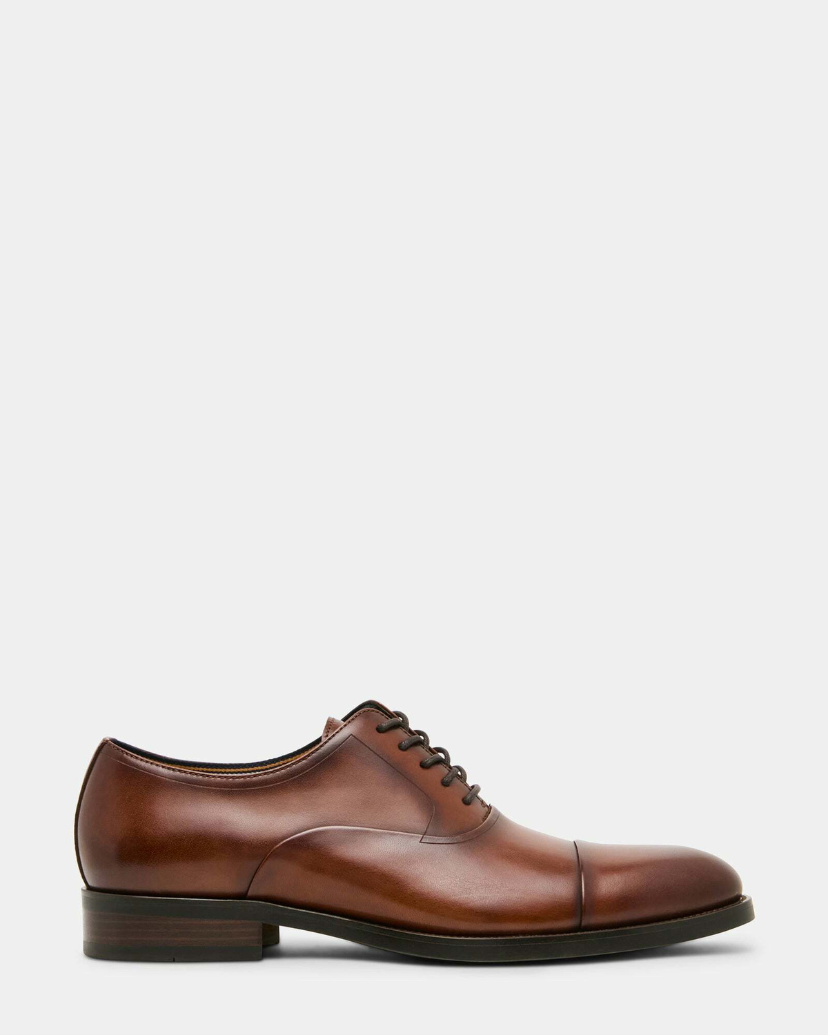 Steve Madden Hallifax Dress Shoes in Cognac
