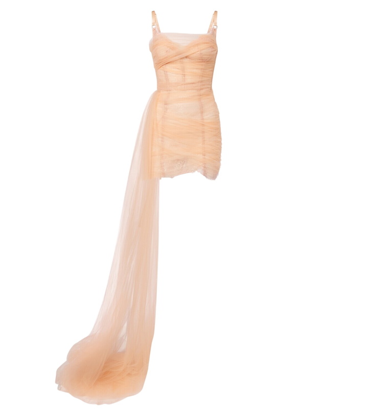 Photo: Maria Lucia Hohan Elsinora tulle corset minidress