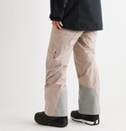 Houdini - RollerCoaster Ski Trousers - Neutrals