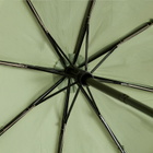 London Undercover Auto-Compact Umbrella in Light Olive 