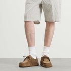 Birkenstock Men's Utti Lace in Grey Taupe Suede