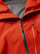 Patagonia - Calcite GORE-TEX Paclite Plus Hooded Jacket - Red