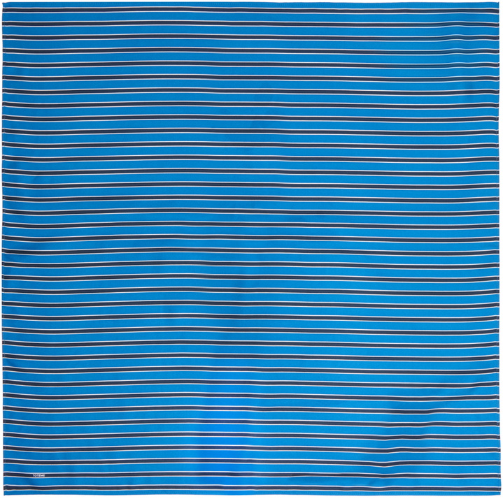 Photo: TOTEME Blue & Navy Striped Silk Scarf