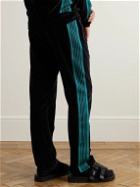 Needles - Webbing-Trimmed Logo-Embroidered Cotton-Blend Velour Track Pants - Black