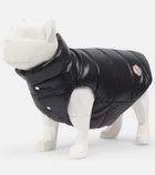 Moncler Dog coat
