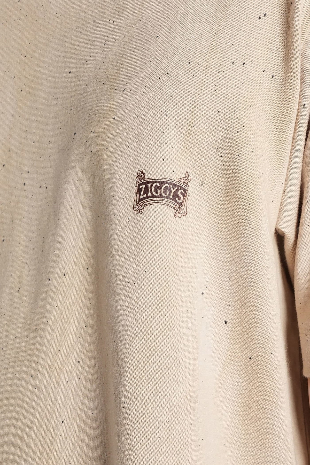 Ziggy Chen T-shirt In Beige Cotton