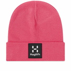 Haglofs Men's Haglöfs Maze Beanie in Ultra Pink