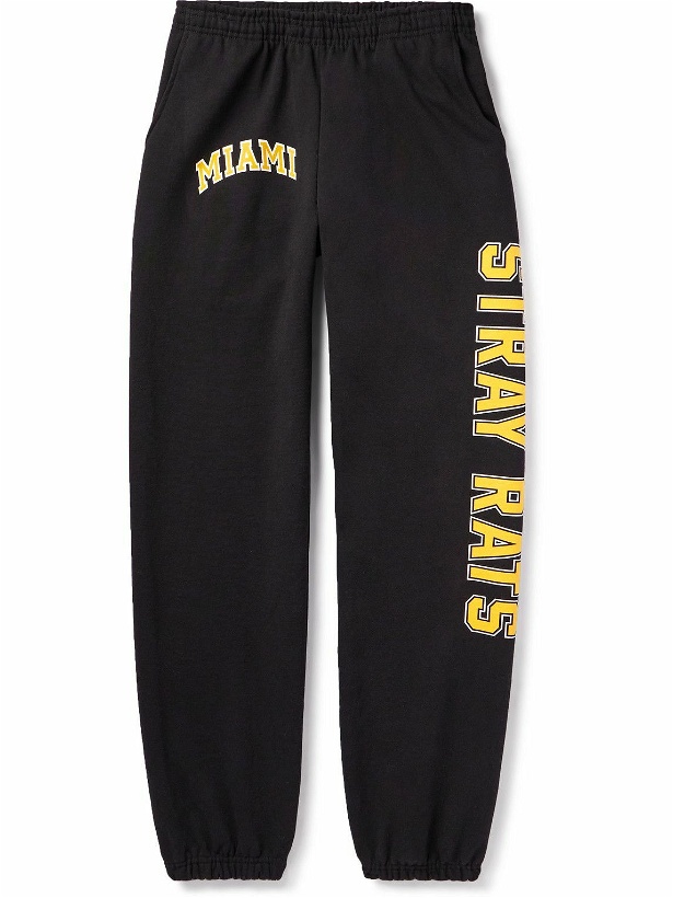 Photo: Stray Rats - Miami Tapered Logo-Print Cotton-Jersey Sweatpants - Black