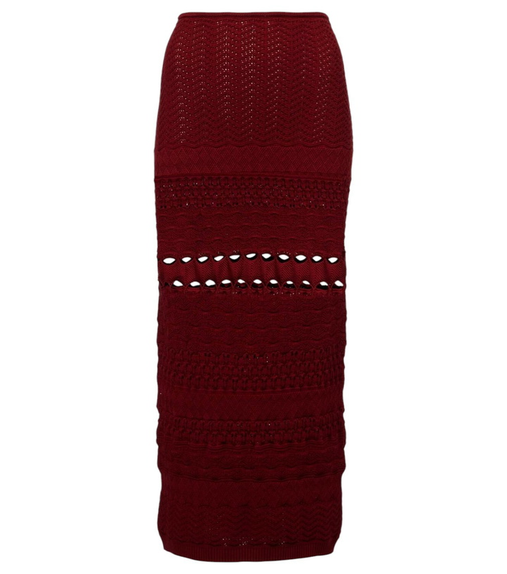 Photo: Elie Saab Cut-out knitted midi skirt