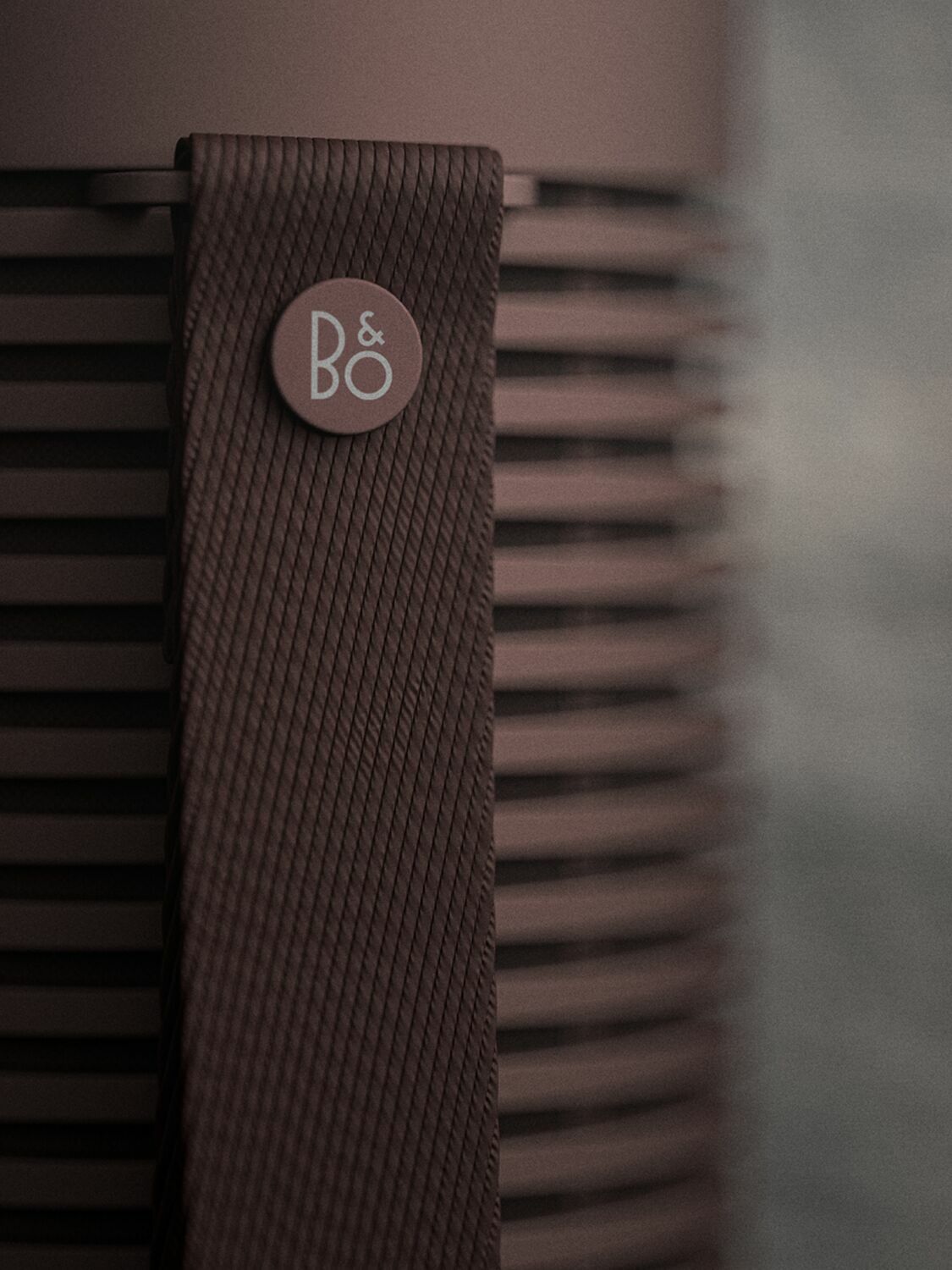 BANG & OLUFSEN Beosound Explore Speaker