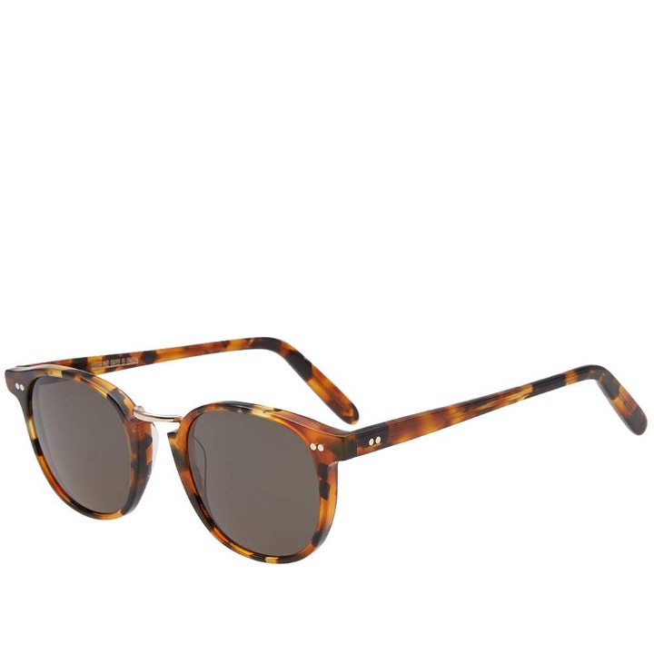 Photo: Cutler and Gross 1007 Sunglasses Brown