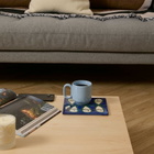 HAY x Emma Kohlmann La Pittura Trivet in Peter'S Plant 