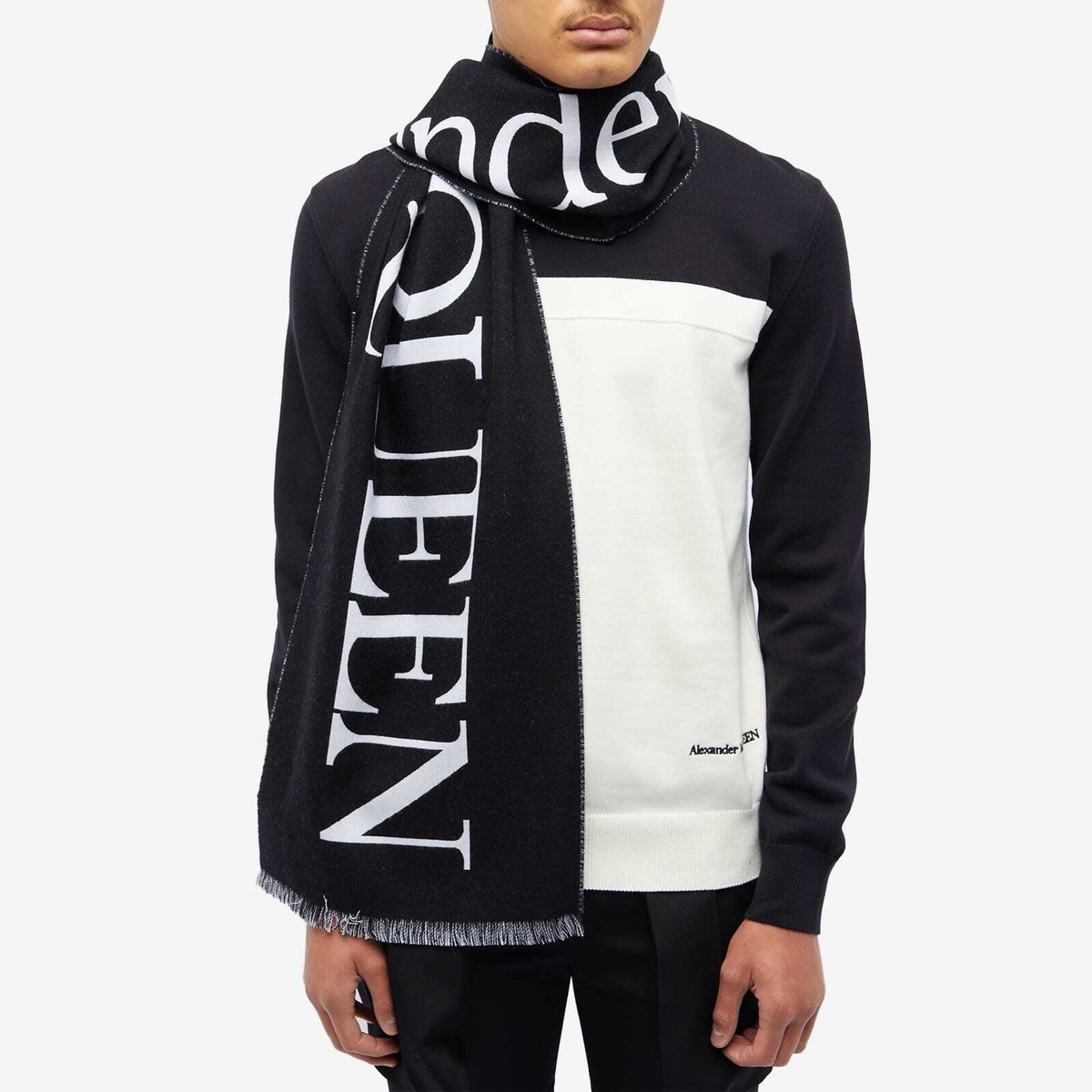 Alexander mcqueen men's outlet scarf