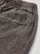 STÜSSY - Wide-Leg Logo-Embroidered Slub Linen Shorts - Gray
