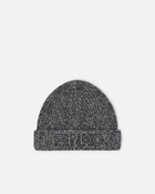 Pinko Beanie With Logo Embroidery Grey/Black/White