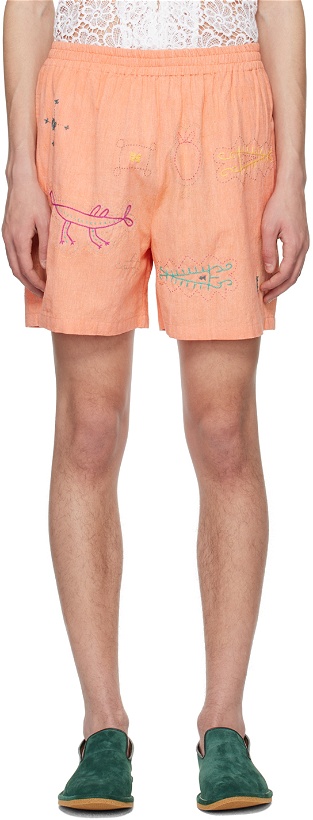 Photo: HARAGO Pink Embroidered Shorts