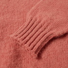 Howlin by Morrison Women's Howlin' Shaggy Bear Women Crew Knit in Sparkly
