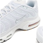 Nike Air Max Plus Sneakers in White/Cool Grey