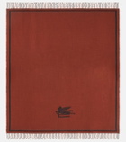 Etro Wool throw