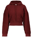 Stella McCartney - Embroidered hoodie