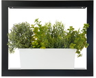 Modern Sprout Black Smart Growframe Planter