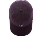 Polar Skate Co. Boiled Wool Cap