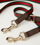 Gucci Web Stripe dog leash