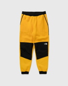 The North Face Denali Pant Yellow - Mens - Casual Pants