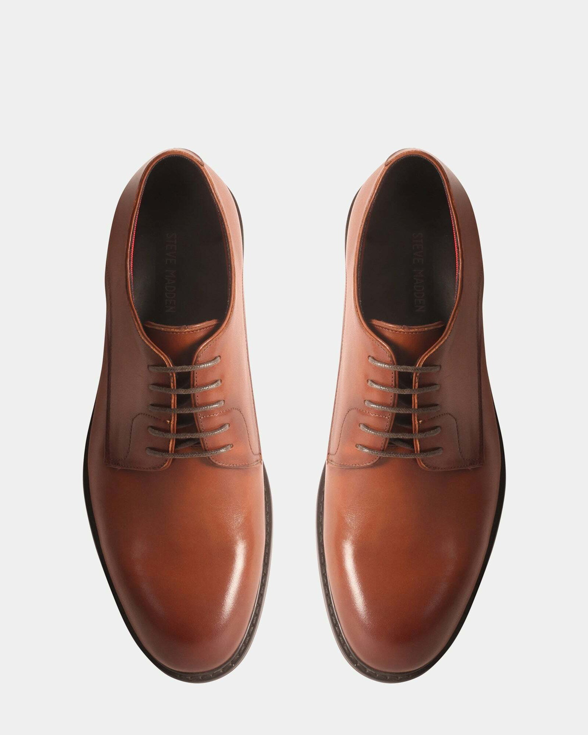 Steve Madden Estevio Dress Shoes in Brown