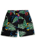 GO BAREFOOT - Tropical Birds Printed Cotton-Blend Shorts - Black