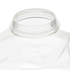 Niko June Eros Torso Vase Small in Clear