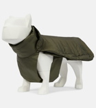 Moncler Genius - x Poldo Dog Couture dog coat