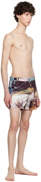 Vivienne Westwood Multicolor Classic Boxer Swim Shorts