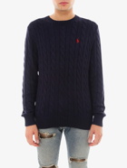 Polo Ralph Lauren Sweater Blue   Mens