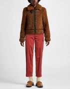 Manila Grace Womens Pants Rust