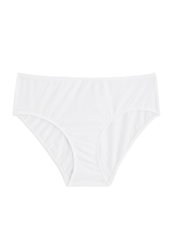 Photo: Hanro Ultralight Cotton Briefs White