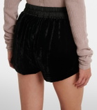 Rick Owens Fog shorts