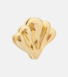 Chloé Shell earrings