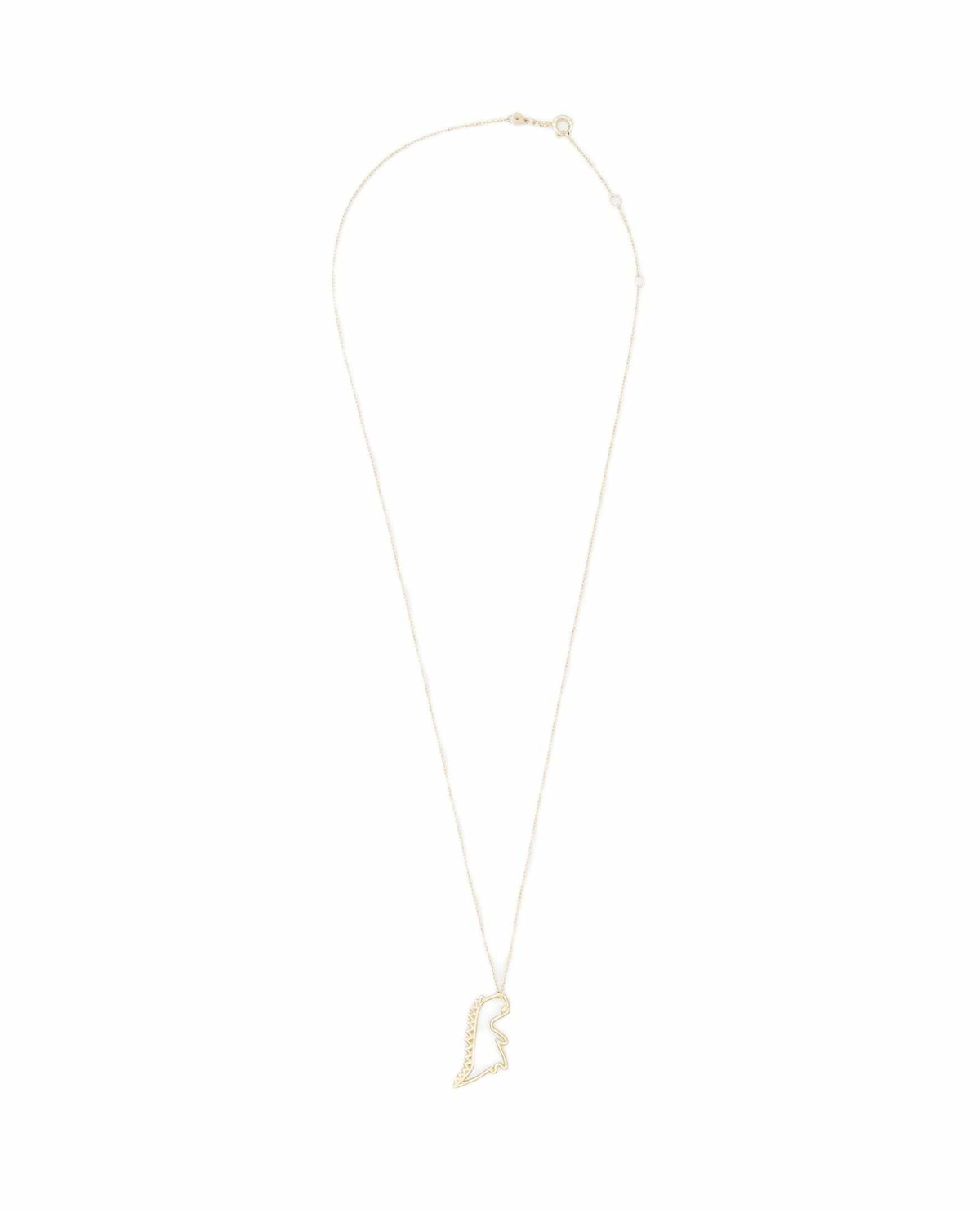 Aliita Dino Puro Chain